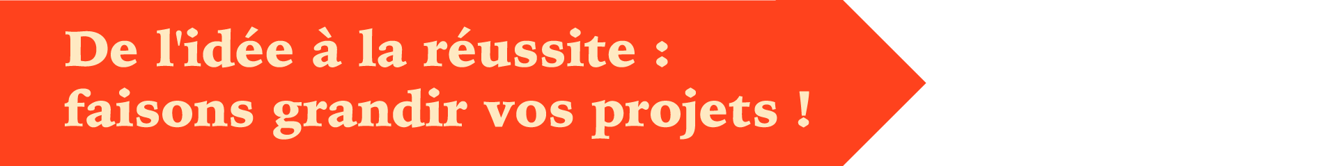De l'idée à la réussite : Faisons grandir vos projets !